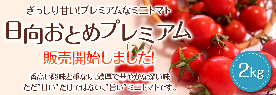 日向おとめプレミアム