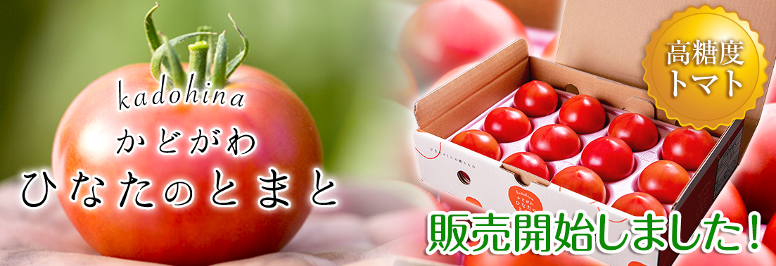 ひなたのトマト