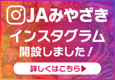 インスタ始めました