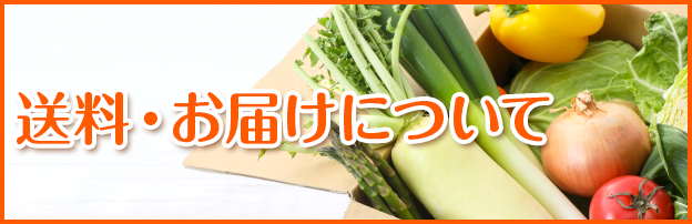 送料・お届けについて
