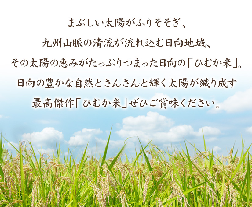 ひむか米5