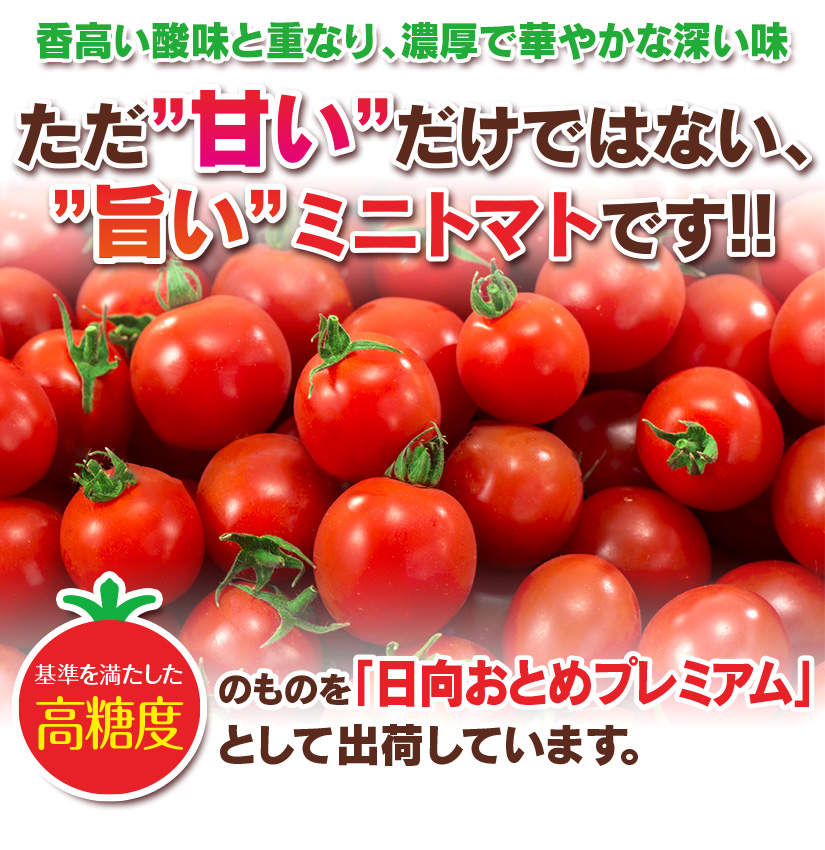 日向おとめプレミアム