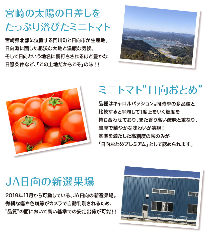 日向おとめプレミアム