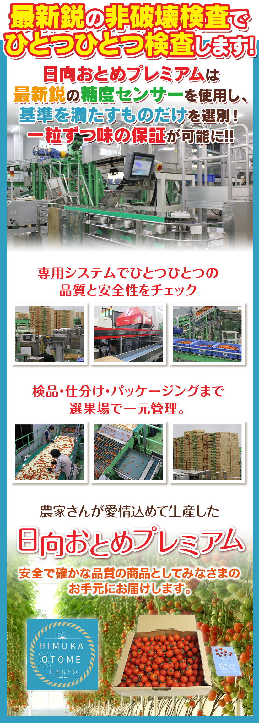 日向おとめプレミアム